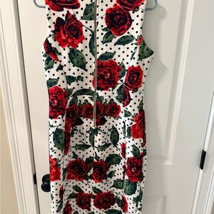 Red Roses Polka Dot Sleeveless Dress